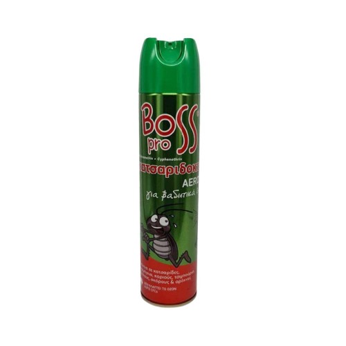 Κατσαριδοκτόνο Spray Boss 300ml