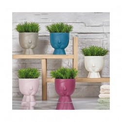 Γλαστράκι Με Φυτό Νο 13