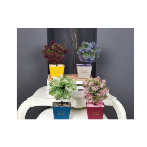 Γλαστράκι Πλαστικό Χρωματιστό