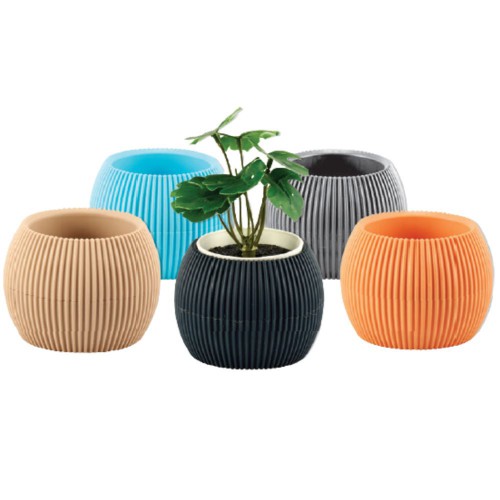 Γλάστρα  Cactus No3 Σε 5χρώμ.