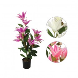 Γλαστράκι Με Λουλούδια 74εκ.3χρώμ.