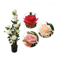 Γλαστράκι Με Λουλούδια 75εκ.4χρώμ.