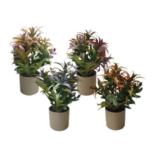 Γλαστράκι Με Λουλούδια 20εκ.4χρώμ.