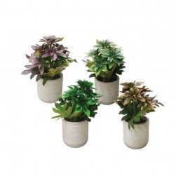 Γλαστράκι Με Φυτά 4χρωμ.