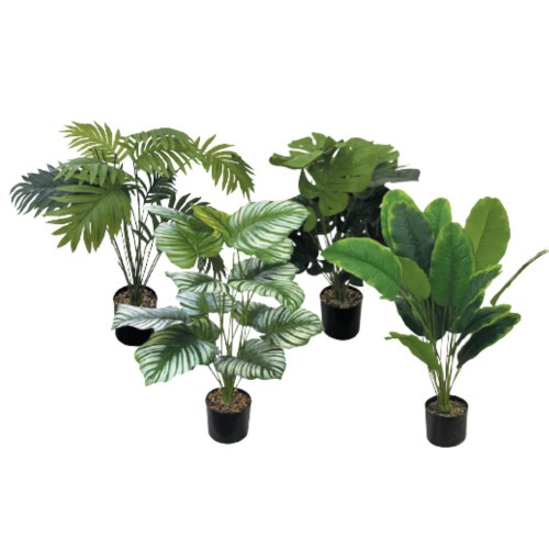 Γλαστράκι Με Πράσινα Φυτά 5χρώμ.