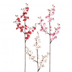 Κλαδί Αμυγδαλιά