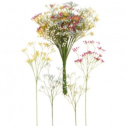 Κλαδί Γυψοφίλη Σε Χρώματα