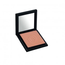 Rouge Compact Blusher 510