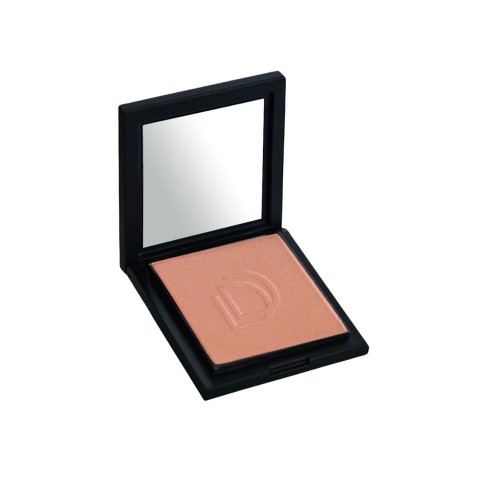 Rouge Compact Blusher 510