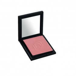 Rouge Compact Blusher 490