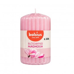 Κερί Bolsius Μανώλια 120/60mm