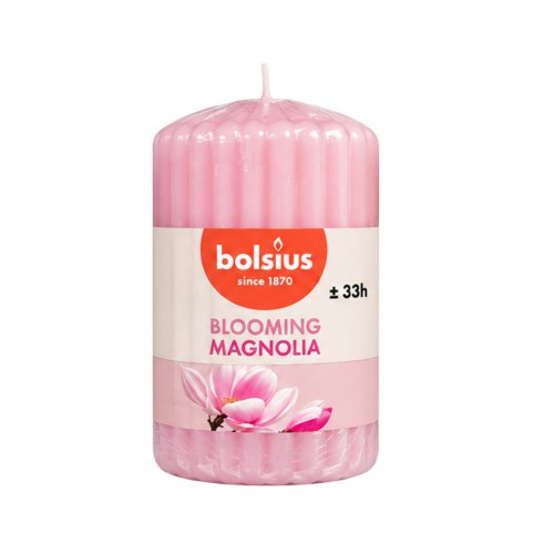 Κερί Bolsius Μανώλια 120/60mm