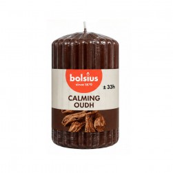 Κερί Bolsius Με Άρωμα Ξύλου 120/60mm