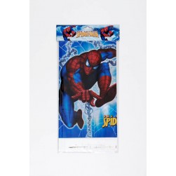 Σετ πάρτι spiderman