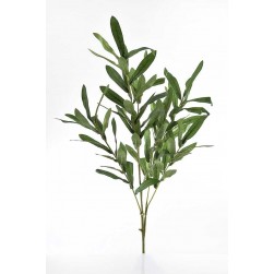 Κλαδί Eλιάς 95cm