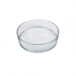 Κουπ Denta Clear Γυάλινη 29Χ8cm