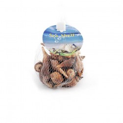 Κοχύλια Διακοσμητικά 100gr