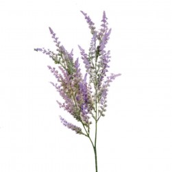 Κλαδί Λεβάντα