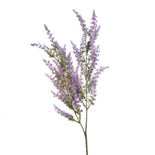 Κλαδί Λεβάντα